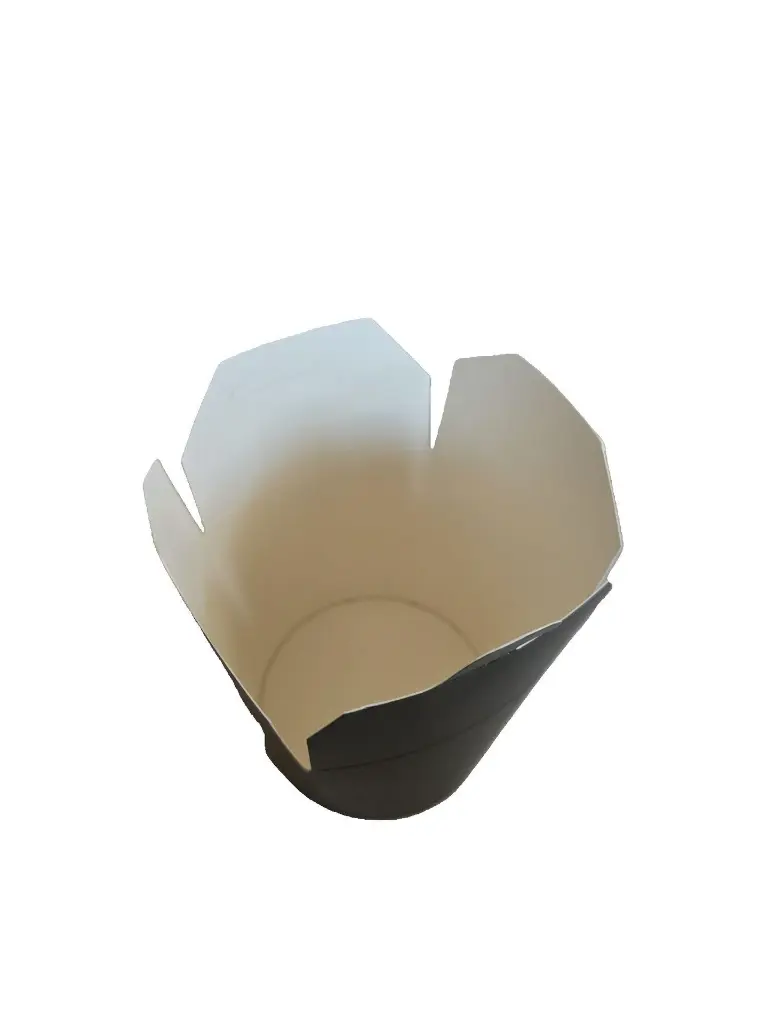 Noodle_Black_2.webp
