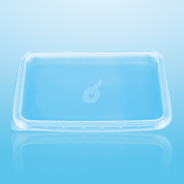 Art.No. 595 Couvercle pour Eurobox Grand 50 pcs.