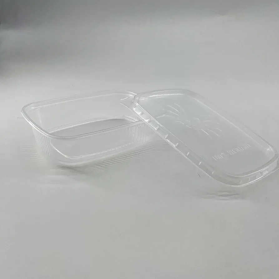 Rechthoekige container van 125 cc. Combi 250 + 250 stuks. (ProPacDE)