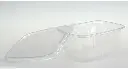 Ravier rectangular avec couvercle 250 cc. (ProPacDE)