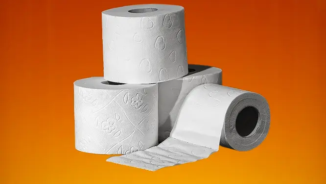 EU- WC Papier Cellulose 2-ply 200 sheet (12 x 4 Roll) / 48 roll