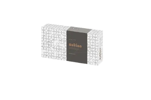 Mouchoir en papier 2 plis Satino Prestige (40x100 pcs.) - 4000 pcs.